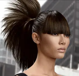 Redken High Ponytail - Hairboutique.com - All Rights Reserved