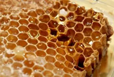 Honeycomb - HB Media - All Rights Reserved