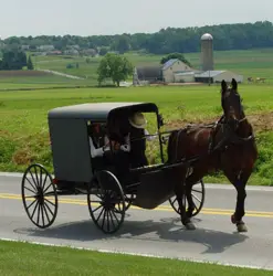 Amish Cart & Buggy