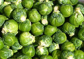 Brussel Sprouts - Image From Wikipedia