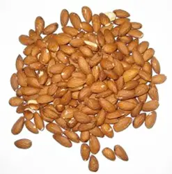 Almonds - Eating Nuts For Hair Health