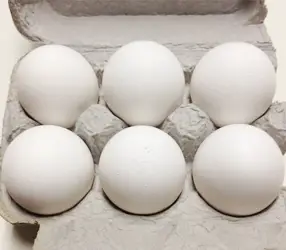 Fresh Eggs For Egg Shampoo