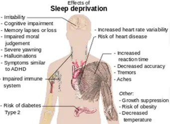 Effects Of Sleep Deprivation - Wikipedia