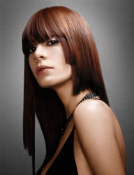 Paul Mitchell - Brunette - The Color - Spring Collection 07