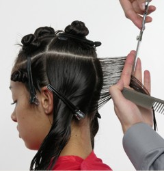 HaircuttingImage_14_250h