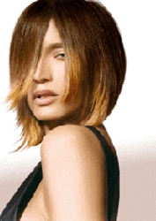 Below The Chin Length Brunette Bob