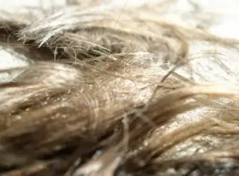 Hair Clippings
