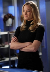 Yvonne Strahovski as Sarah Walker