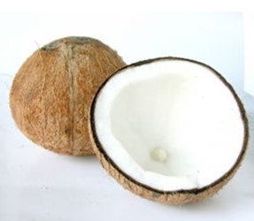 Coconut