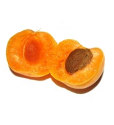 Apricots - Kernels Are Use For Hair Oils