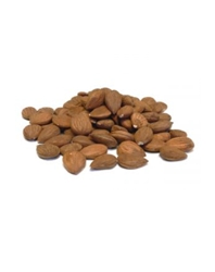Apricot Kernels Used For Apricot Seed Oil