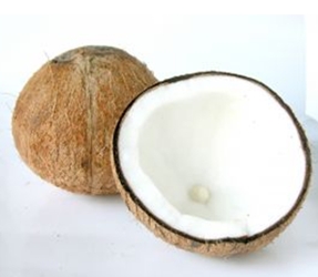 Fresh Coconut Which Is Base Of Coconut Oil