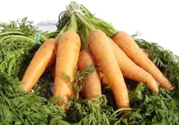 Fresh Carrots