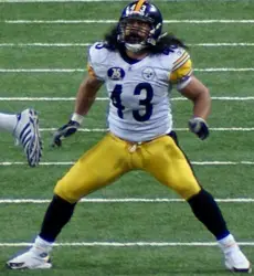 Troy Polamalu Long Hair Flowing From Football Helmet