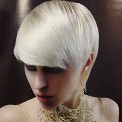 Platinum Blonde Crop With Long Full Fringe