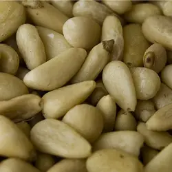 Pinenuts - Wikipedia