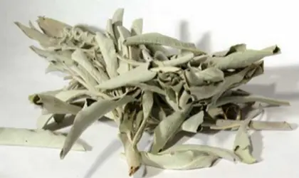 White Sage Herbs - Amazon.com - All Rights Reserved