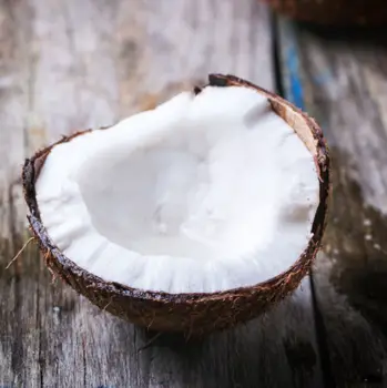 One half of a coconut - HB Media - All Rights Reserved