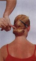 chignon4.jpg (3812 bytes)