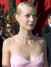 paltrow_g.jpg (5813 bytes)