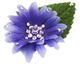 Michelle Roy - Mini Daisy Clip - Purple w/Swarovski Crystal Accents