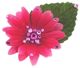 Michelle Roy - Mini Daisy Clip - Deep Pink w/Swarovski Crystal Accents