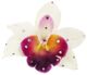 Michelle Roy - Large Silk Orchid Clip - White w/Fuschia w/Swarovski Crystal Accents