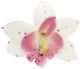 Michelle Roy - Large Silk Orchid Clip - White w/Pink w/Swarovski Crystal Accents