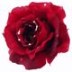 Michelle Roy - Large Silk Rose Clips - Red W/ Swarovski Crystal Accents