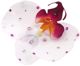 Michelle Roy - Medium Silk Orchid Clip - White w/Swarovski Crystal Accents