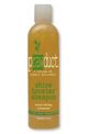 Robert Hallowell Prawduct - shine booster shampoo -  8.5 oz (250 ml)